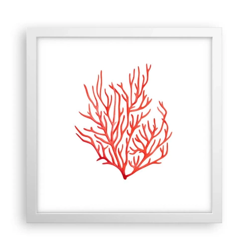 Affiche dans un cadre blanc - Poster - Filigrane de corail - 30x30 cm