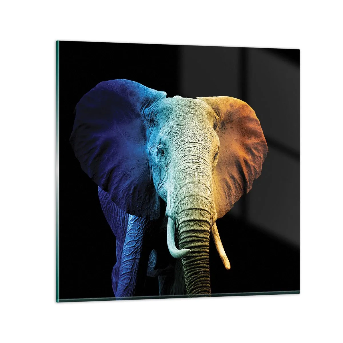 Impression sur verre - Image sur verre - Excentrique, pas bizarre - 40x40 cm