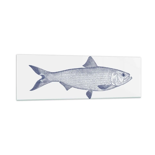 Impression sur verre - Image sur verre - Illustration d'un poisson dans des tons de bleu sur fond clair - 160x50cm - Salutations des mers du nord - Décoration murale moderne pour le salon et la chambre ARTTOR