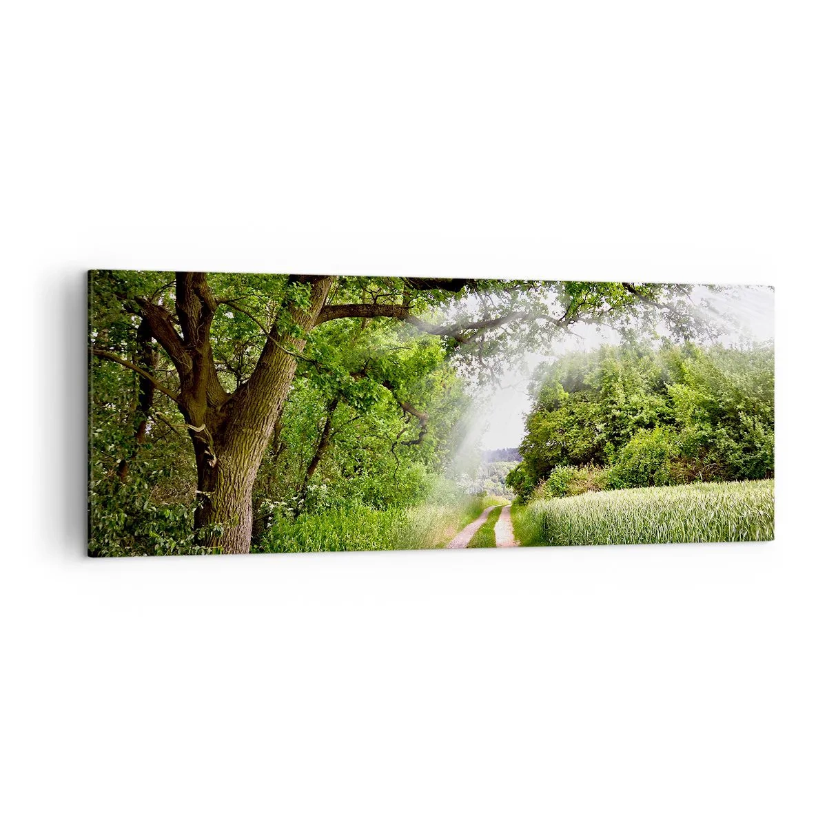 Impression sur toile - Image sur toile - Un chemin de terre parmi les arbres verts et la lumière du soleil - 140x50cm - Et in Arcadia ego - Décoration murale moderne pour le salon et la chambre ARTTOR