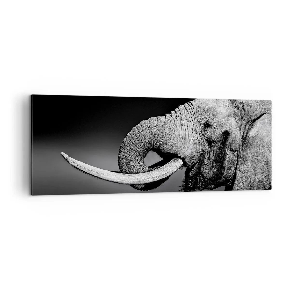 Impression sur toile - Image sur toile - Portrait noir et blanc d'un éléphant de profil - 140x50cm - Oui, c'est bon maintenant - Décoration murale moderne pour le salon et la chambre ARTTOR