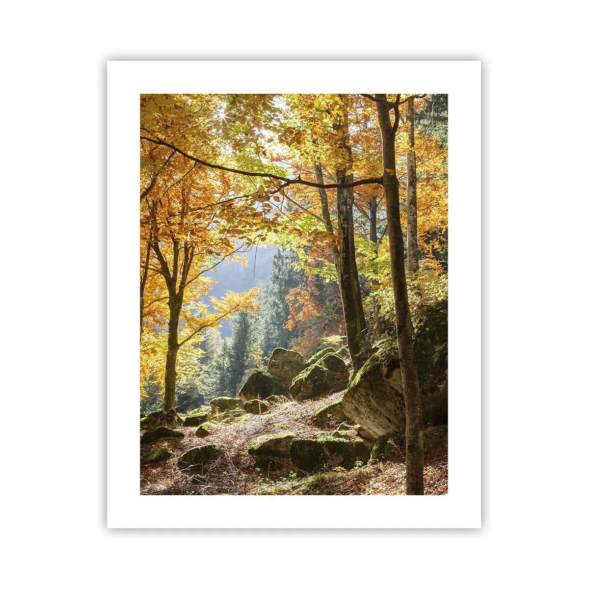 Affiche - Poster - Il est temps de se détendre - 40x50 cm