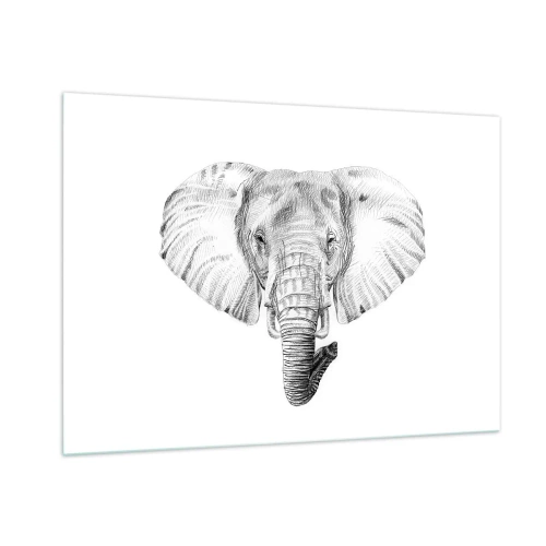 Impression sur verre - Image sur verre - Dessin en noir et blanc d'une tête d'éléphant sur fond blanc - 100x70cm - "Un éléphant ça trompe bien souvent" - Décoration murale moderne pour le salon et la chambre ARTTOR