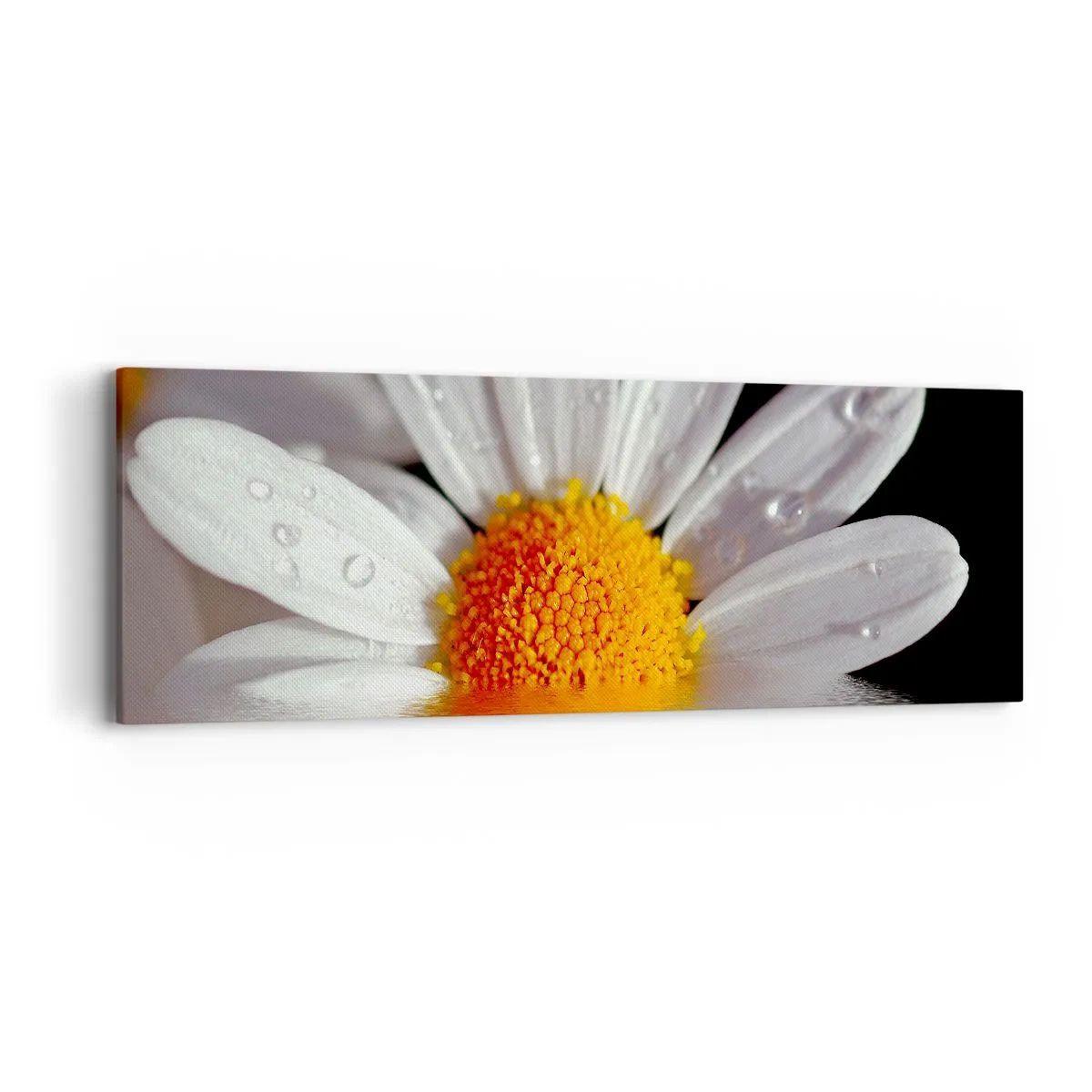 Impression sur toile - Image sur toile - Le soleil levant des marguerites - 90x30 cm
