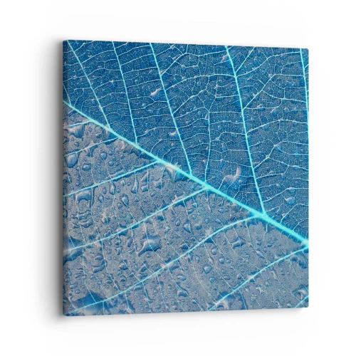 Impression sur toile - Image sur toile - La vie en bleu - 30x30 cm