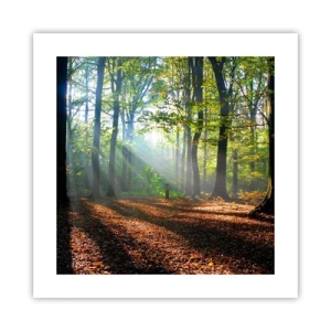 Affiche - Poster - Ombres et lumières - 40x40 cm