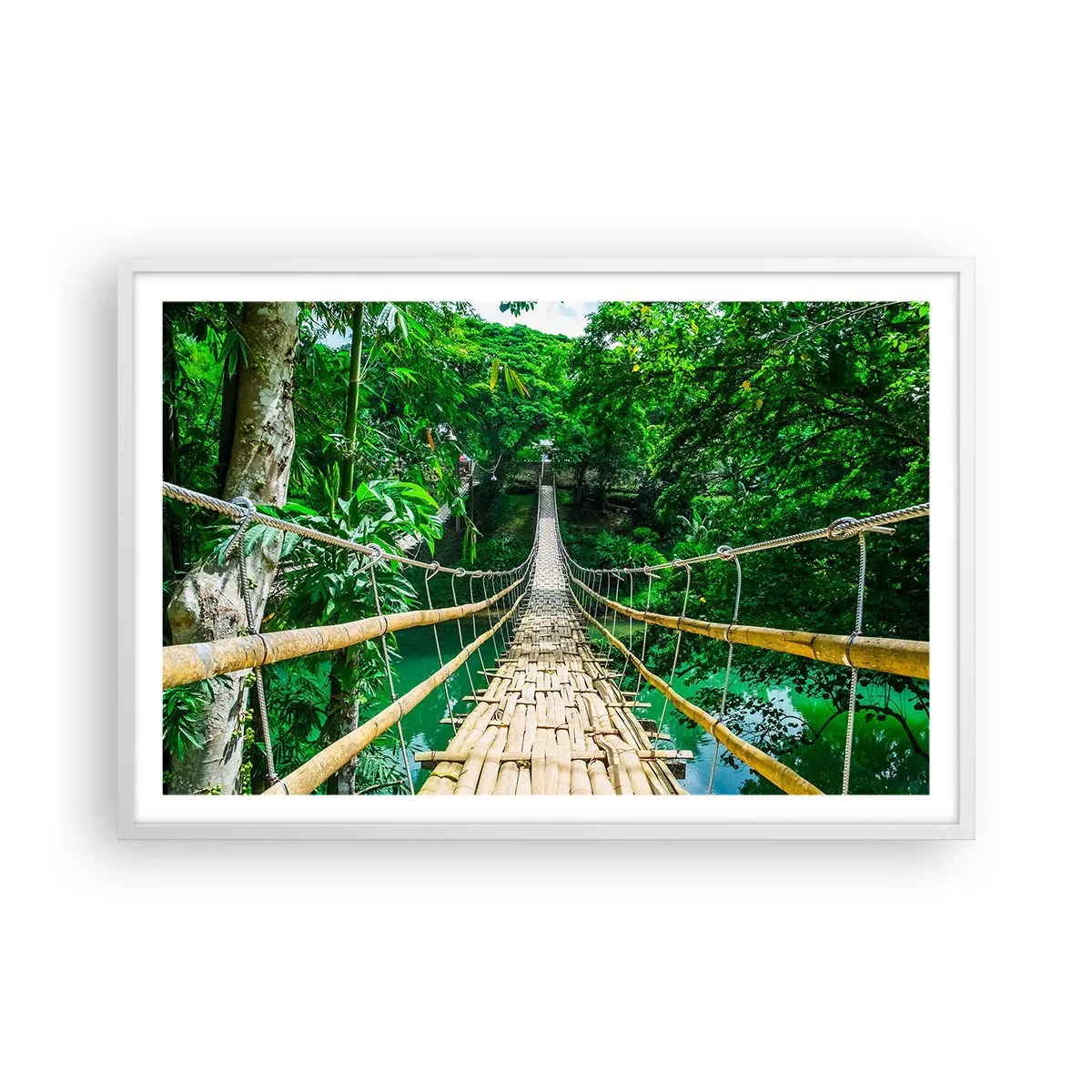 Affiche dans un cadre blanc - Poster - Pont de singe en pleine nature - 91x61 cm