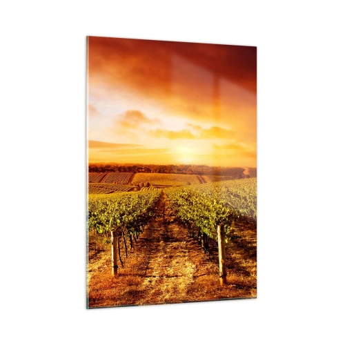 Impression sur verre - Image sur verre - Vignes dans un champ au coucher du soleil - 50x70cm - Légèrement fruité avec une pointe de soleil - Décoration murale moderne pour le salon et la chambre ARTTOR