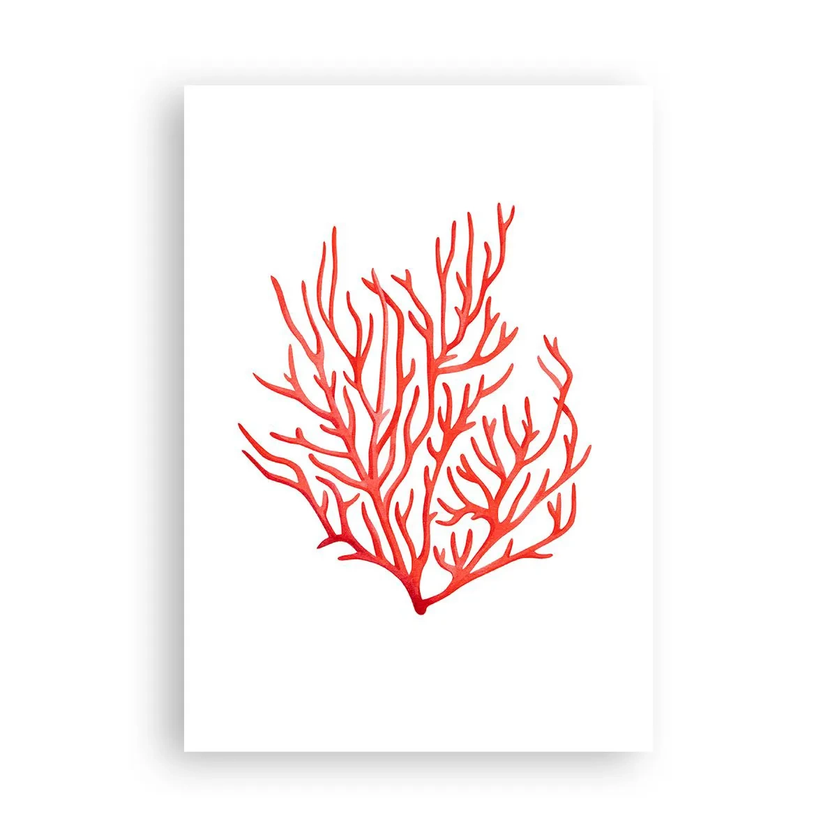 Affiche - Poster - Filigrane de corail - 70x100 cm