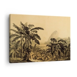 Impression sur toile - Image sur toile - Dessin de bananiers sur fond de paysage tropical - 70x50cm - Dans un climat colonial - Décoration murale moderne pour le salon et la chambre ARTTOR