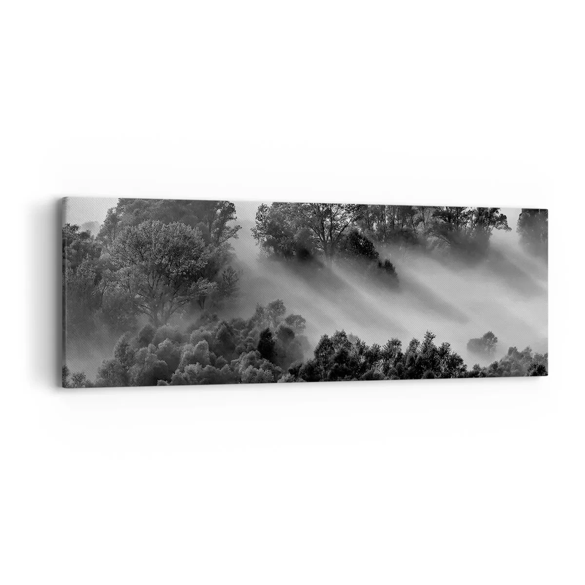 Impression sur toile - Image sur toile - Sortir de son sommeil - 90x30 cm