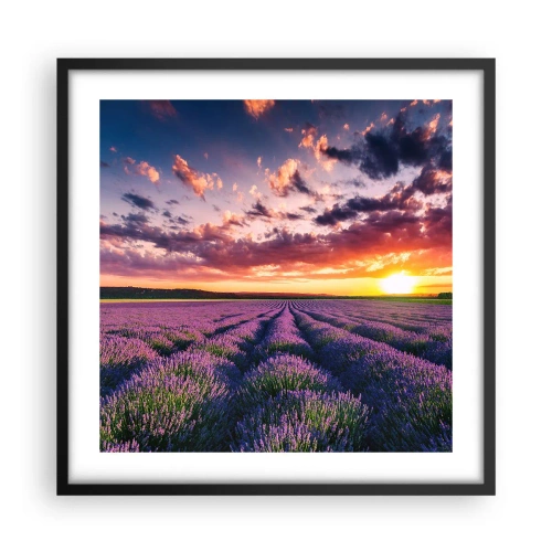 Affiche dans un cadre noir - Poster - Monde de lavande - 50x50 cm