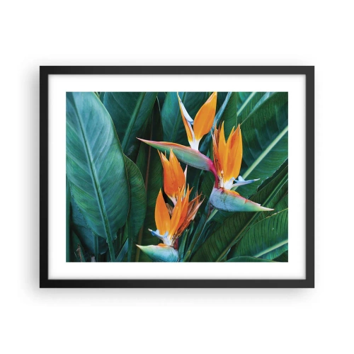 Affiche dans un cadre noir - Poster - Est-ce une fleur, est-ce un oiseaux? - 50x40 cm