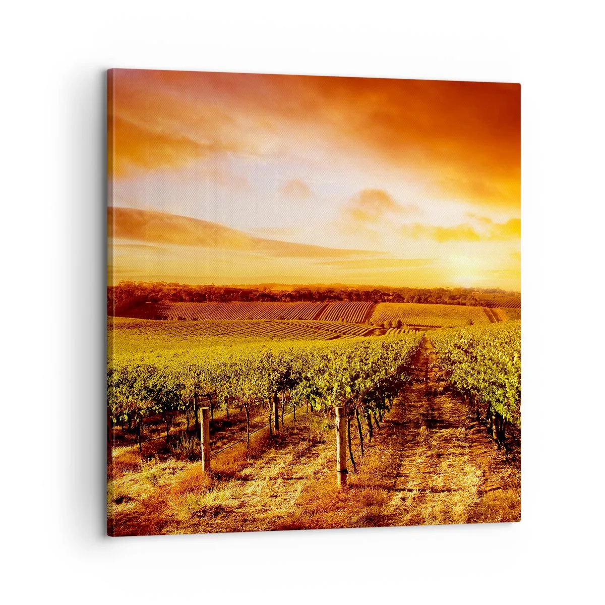 Impression sur toile - Image sur toile - Légèrement fruité avec une pointe de soleil - 60x60 cm