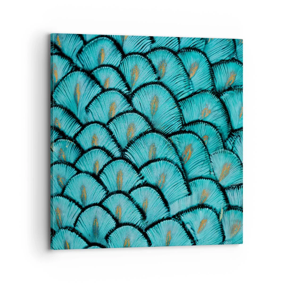 Impression sur toile - Image sur toile - Le grand gala des plumes - 70x70 cm