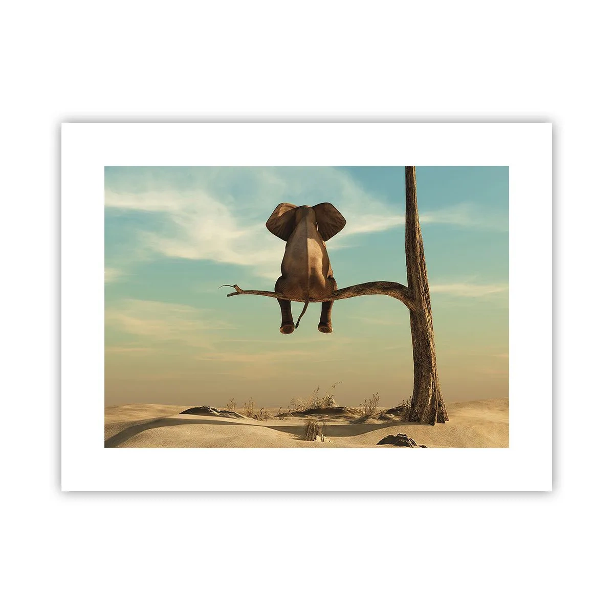 Affiche - Poster - Nouveau point de vue - 40x30 cm