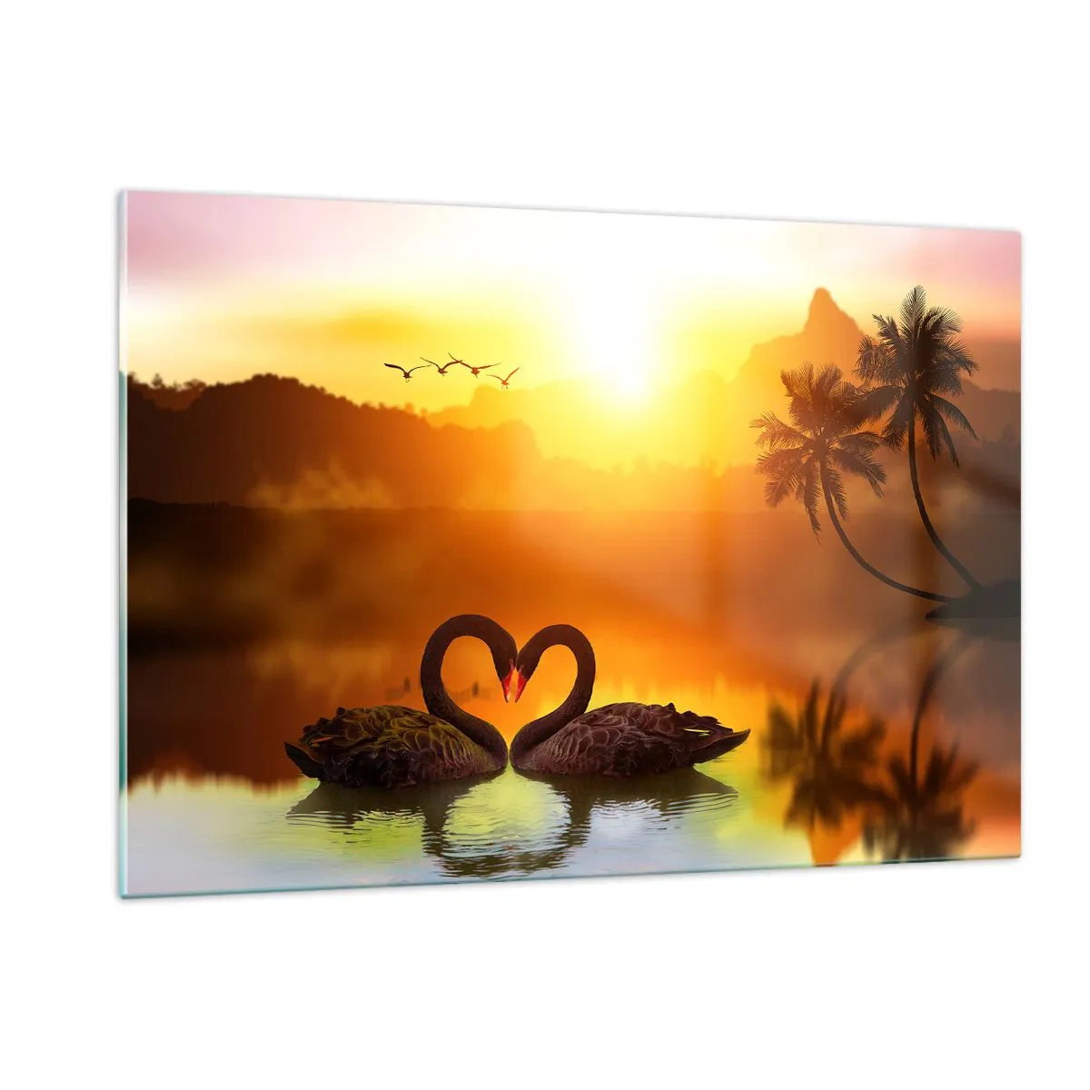 Impression sur verre - Image sur verre - Cygnes noirs sur le lac au coucher du soleil - 120x80cm - Tout va ensemble - Décoration murale moderne pour le salon et la chambre ARTTOR