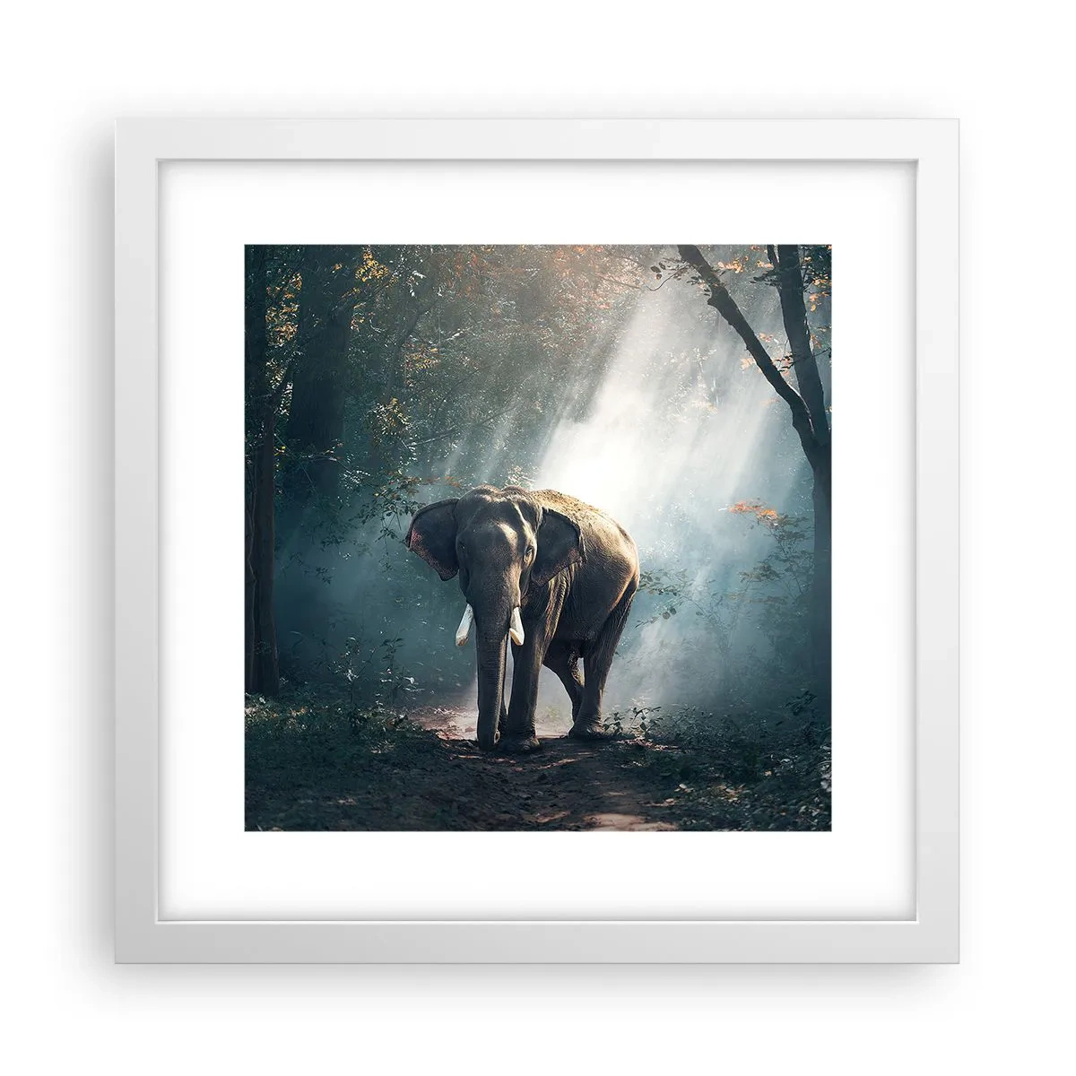 Affiche dans un cadre blanc - Poster - Une balade tranquille - 30x30 cm