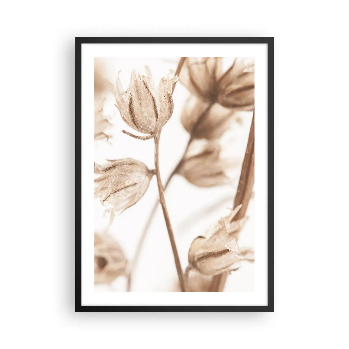 Affiche dans un cadre noir - Poster - Plantes séchées en sépia sur fond clair - 50x70cm - Ils appellent à la fin de l'été - Décoration murale moderne pour le salon et la chambre ARTTOR