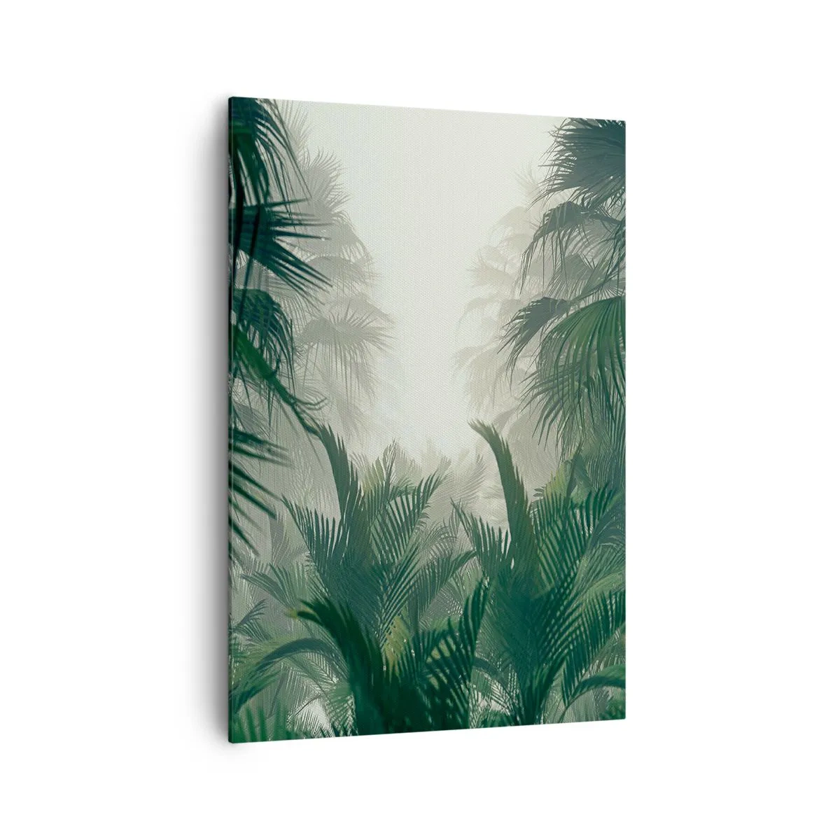Impression sur toile - Image sur toile - Végétation tropicale dans un épais brouillard de forêt tropicale - 70x100cm - Secret tropical - Décoration murale moderne pour le salon et la chambre ARTTOR