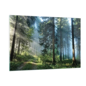 Impression sur verre - Image sur verre - Un chemin forestier dans la brume matinale parmi de grands arbres - 120x80cm - Rayonnant le matin - Décoration murale moderne pour le salon et la chambre ARTTOR