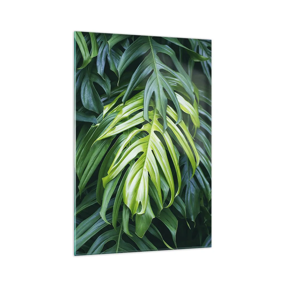 Impression sur verre - Image sur verre - Feuilles vertes dans un arrangement tropical dense - 70x100cm - Immergez-vous dans la fraîcheur - Décoration murale moderne pour le salon et la chambre ARTTOR