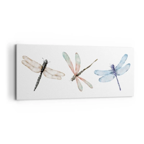 Impression sur toile - Image sur toile - Libellules en apesanteur - 100x40 cm