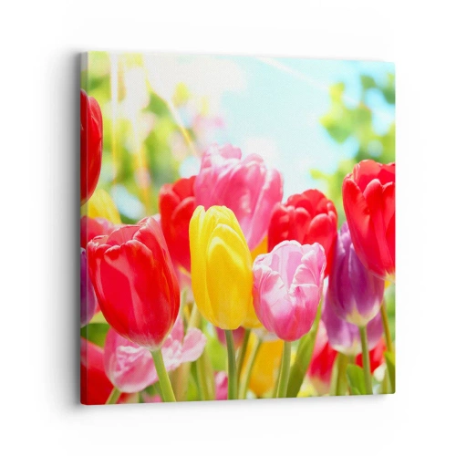 Impression sur toile - Image sur toile - C'est nous, les couleurs de Mai! - 30x30 cm