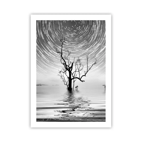Affiche - Poster - Une étoile tourbillonne au-dessus d'un arbre solitaire dans l'eau - 50x70cm - La symphonie de la nature - Décoration murale moderne pour le salon et la chambre ARTTOR