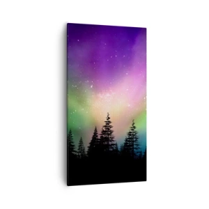 Impression sur toile - Image sur toile - Magie blanche - 55x100 cm