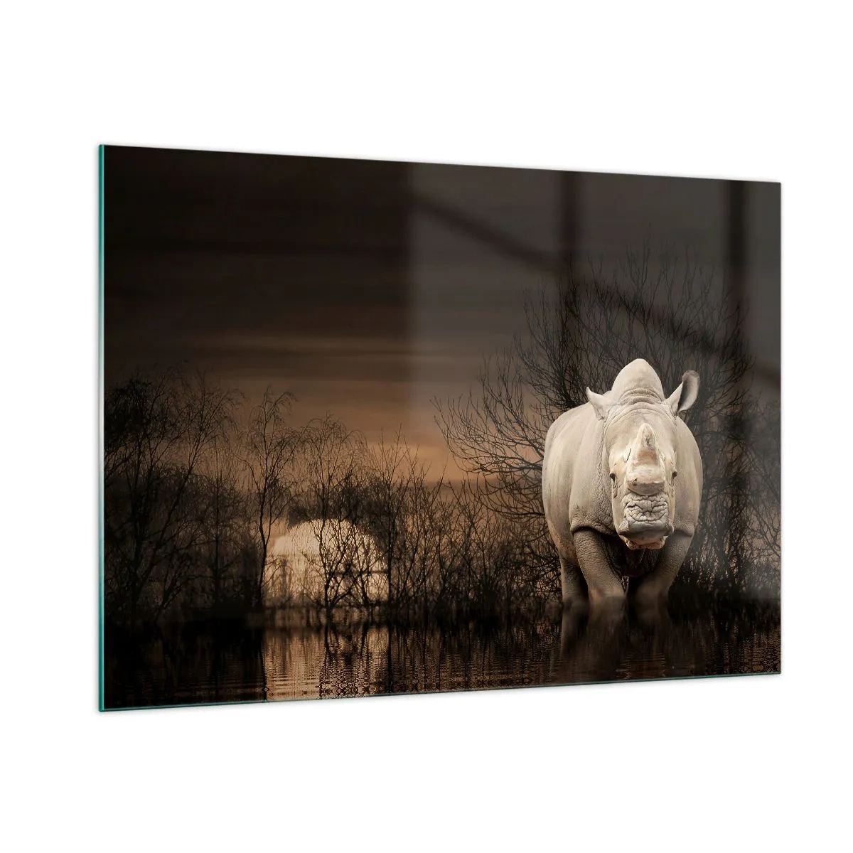 Impression sur verre - Image sur verre - Rhinocéros contre le soleil couchant - 100x70cm - Blanc contre nature - Décoration murale moderne pour le salon et la chambre ARTTOR