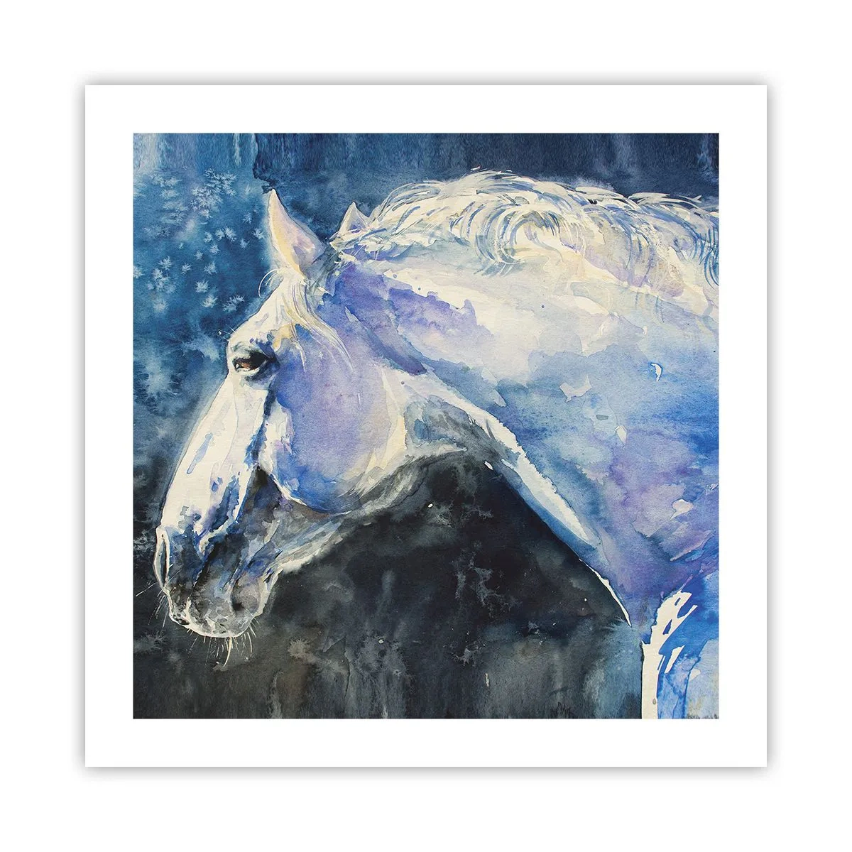 Affiche - Poster - Portrait dans une lueur azur - 50x50 cm