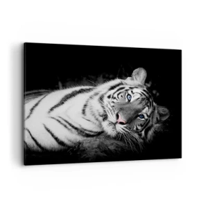 Impression sur toile - Image sur toile - Un tigre blanc rendu artistiquement sur un fond noir - 100x70cm - Sauvagerie et paix - Décoration murale moderne pour le salon et la chambre ARTTOR