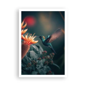 Affiche - Poster - une vie vraiment colorée - 70x100 cm