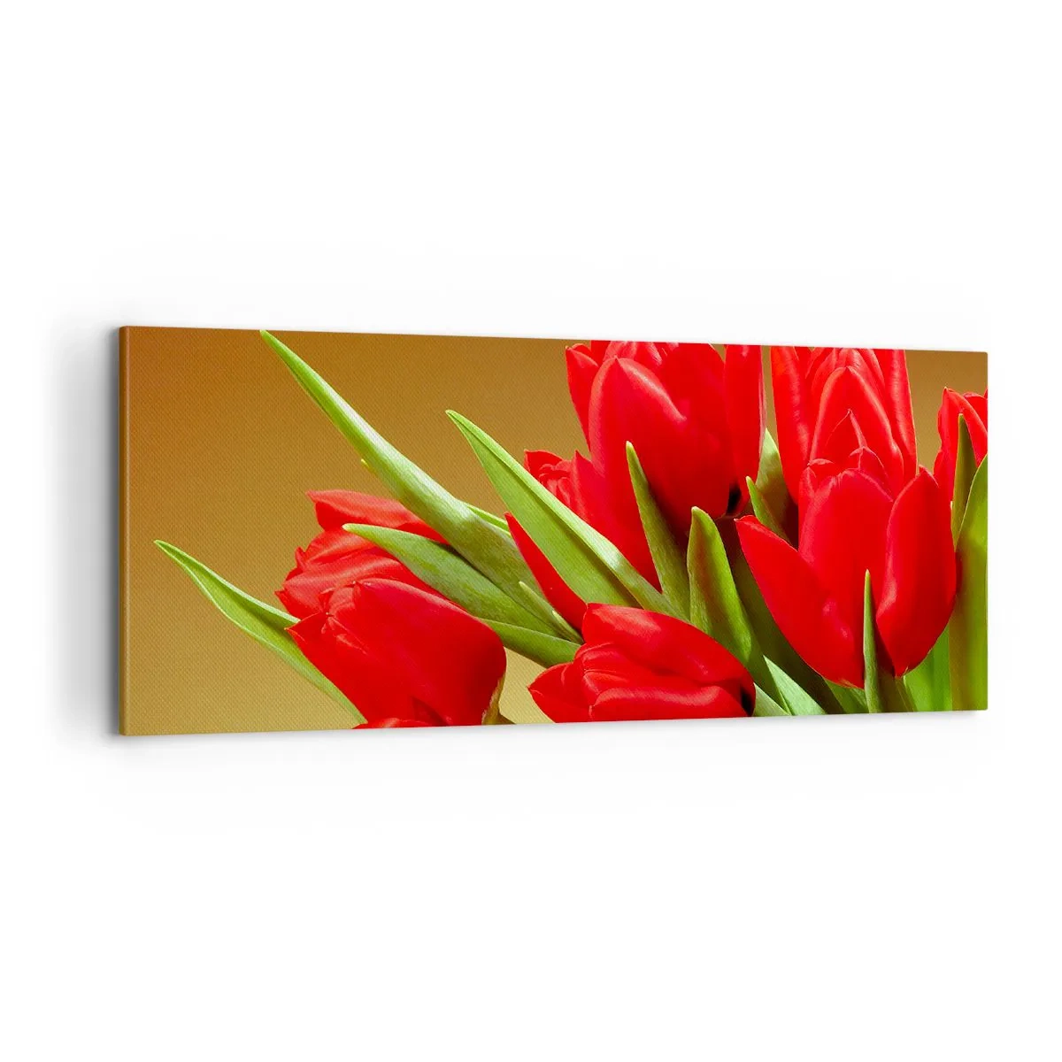 Impression sur toile - Image sur toile - Amas de joie printanière - 100x40 cm