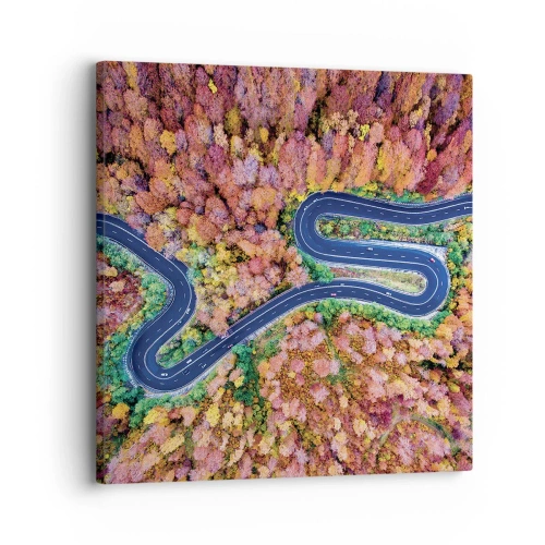 Impression sur toile - Image sur toile - Route sinueuse à travers la forêt - 30x30 cm