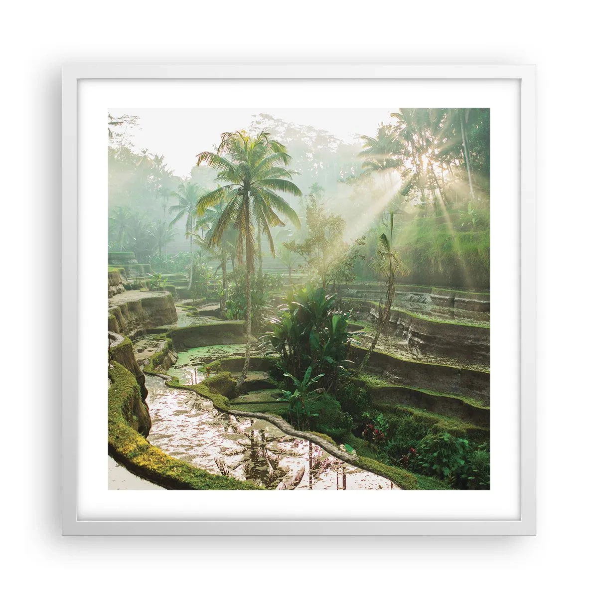 Affiche dans un cadre blanc - Poster - Grandir au soleil - 50x50 cm