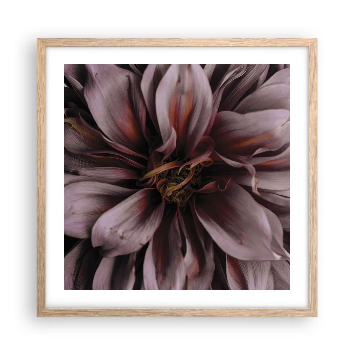 Affiche dans un chêne clair - Poster - Un coeur fleuri - 50x50 cm