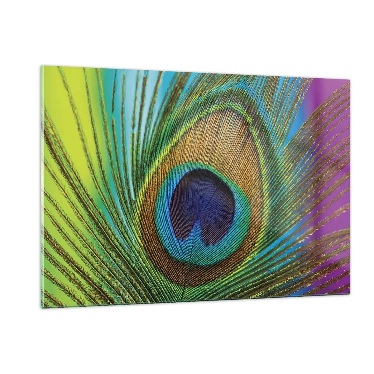 Impression sur verre - Image sur verre - Gros plan d'une plume de paon colorée - 120x80cm - Les yeux dans les yeux - Décoration murale moderne pour le salon et la chambre ARTTOR