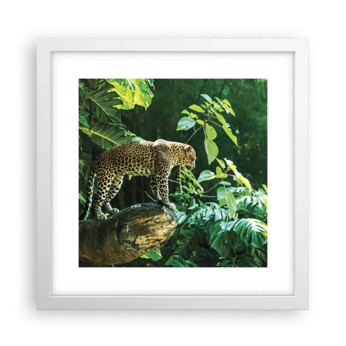 Affiche dans un cadre blanc - Poster - À la chasse? - 30x30 cm