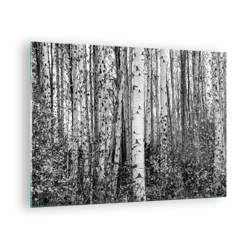 Impression sur verre - Image sur verre - Les bouleaux noirs et blancs créent un paysage forestier dense - 70x50cm - Enchevêtrement de bouleau - Décoration murale moderne pour le salon et la chambre ARTTOR