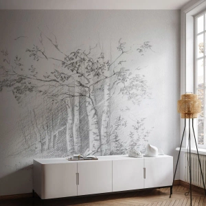 Papier peint sur mesure Premium Sand - Lumière d'une forêt de bouleaux - Forêt, Bouleau, Des arbres