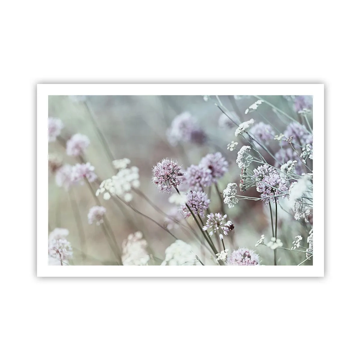 Affiche - Poster - Herbes douces en filigrane - 91x61 cm