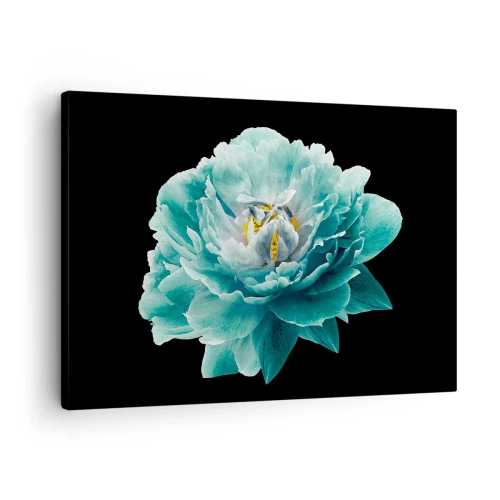 Impression sur toile - Image sur toile - Fleur de pivoine turquoise sur fond noir - 70x50cm - Pétales bleus et dorés - Décoration murale moderne pour le salon et la chambre ARTTOR