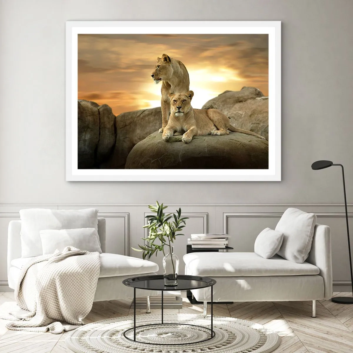 Affiche dans un cadre blanc - Poster - Majesté royale - 50x40 cm