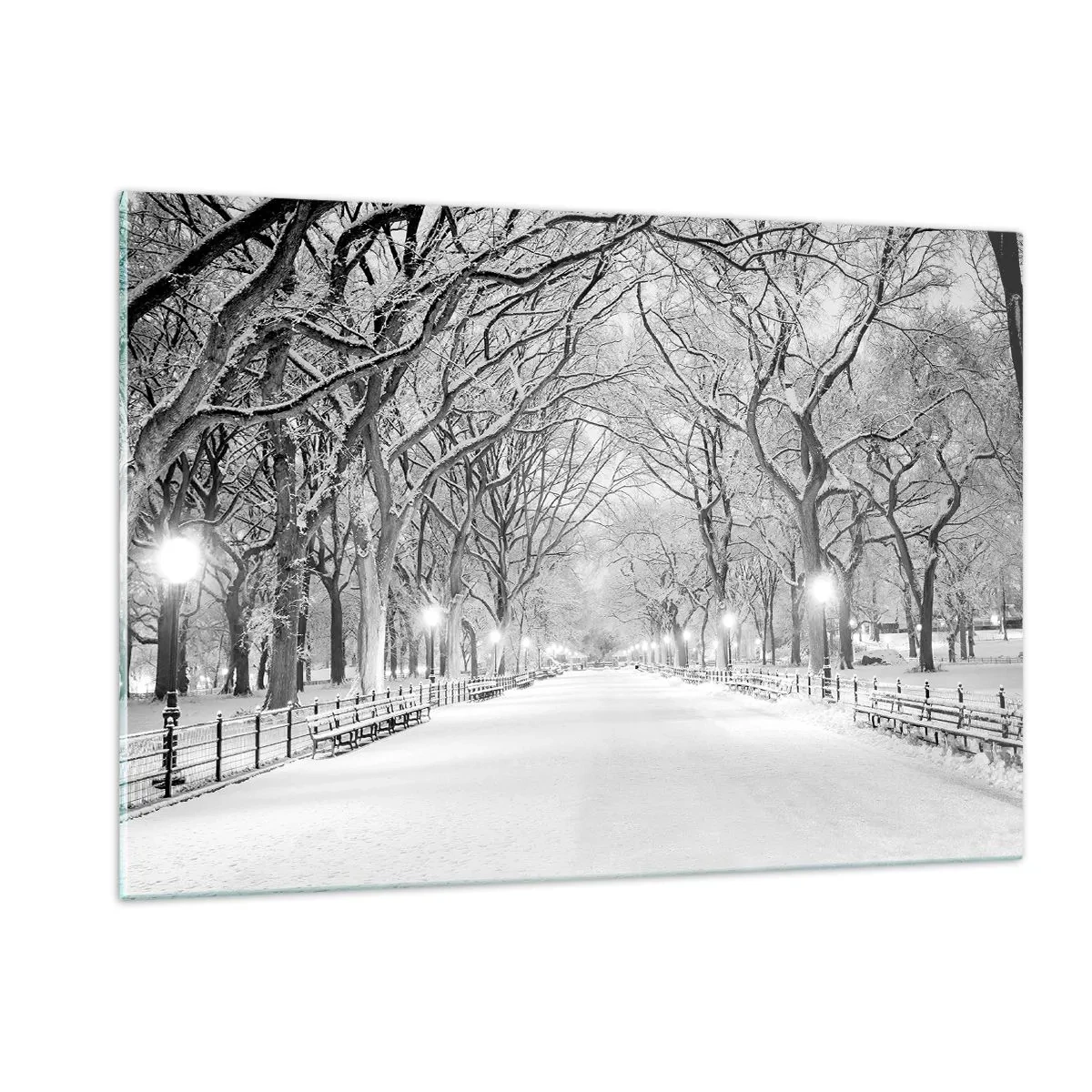 Impression sur verre - Image sur verre - Allée d'arbres d'hiver dans le parc avec des lumières et de la neige - 120x80cm - Les quatres saisons – l’hiver - Décoration murale moderne pour le salon et la chambre ARTTOR