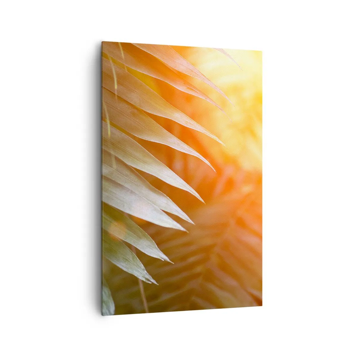 Impression sur toile - Image sur toile - Feuilles de palmier dans les rayons du soleil couchant - 80x120cm - Matinée dans la jungle - Décoration murale moderne pour le salon et la chambre ARTTOR