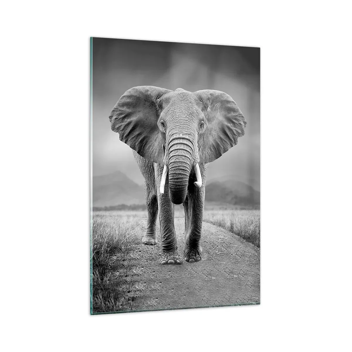 Impression sur verre - Image sur verre - Un puissant éléphant dans la savane aux tons monochromes - 80x120cm - Les hôtes vous saluent - Décoration murale moderne pour le salon et la chambre ARTTOR