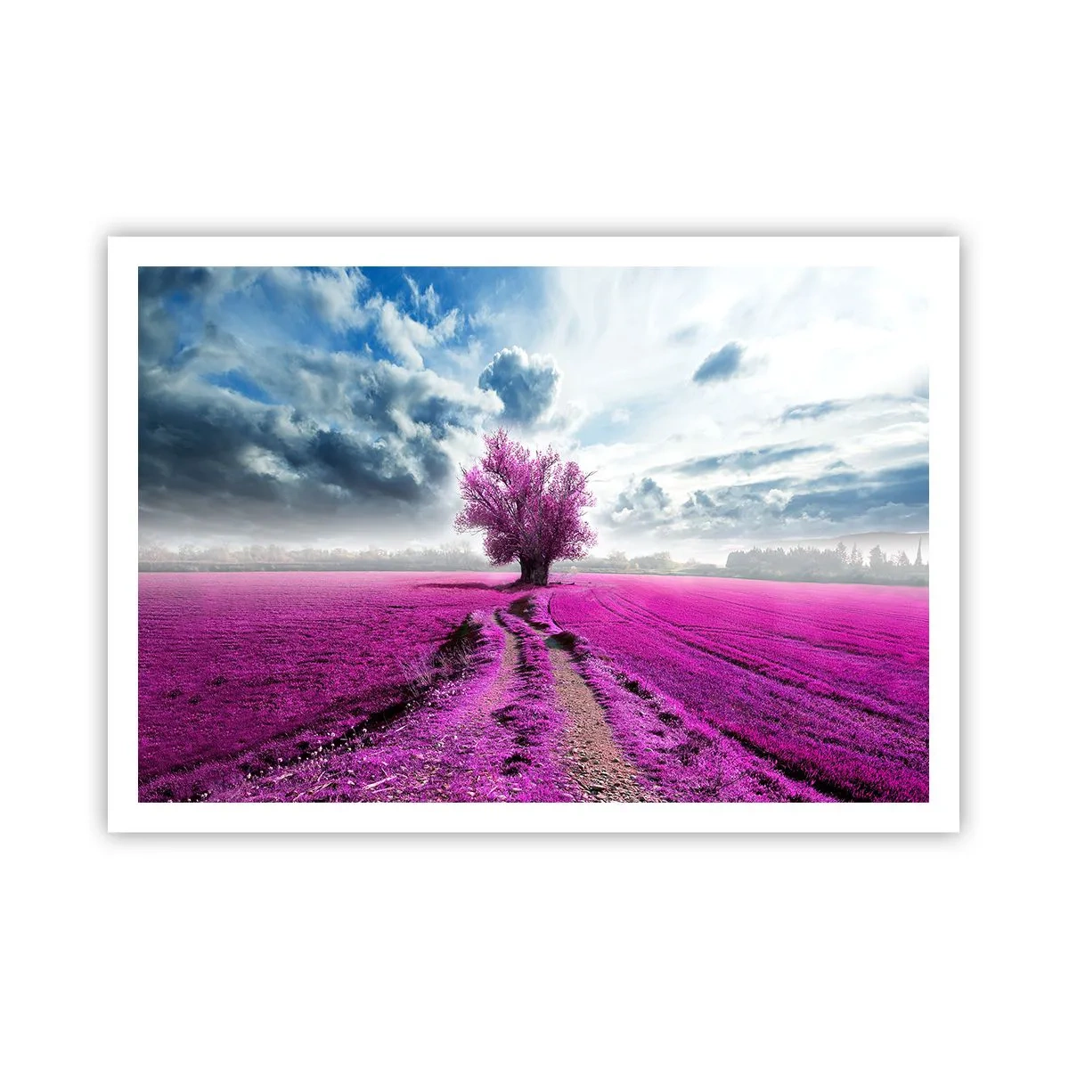 Affiche - Poster - Un arbre solitaire dans un champ dans une nuance de rose intense - 100x70cm - Lande - nature sauvage - Décoration murale moderne pour le salon et la chambre ARTTOR