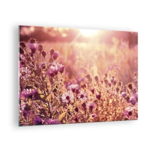 Impression sur verre - Image sur verre - Fleurs violettes dans la prairie à la lumière du soleil couchant - 70x50cm - Avant que l'été ne parte - Décoration murale moderne pour le salon et la chambre ARTTOR
